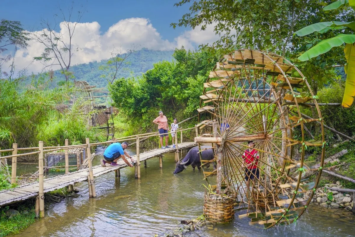 Visitors cross a bamboo bridge past traditional water wheels and a water buffalo in Pu Luong, Thanh Hoa.