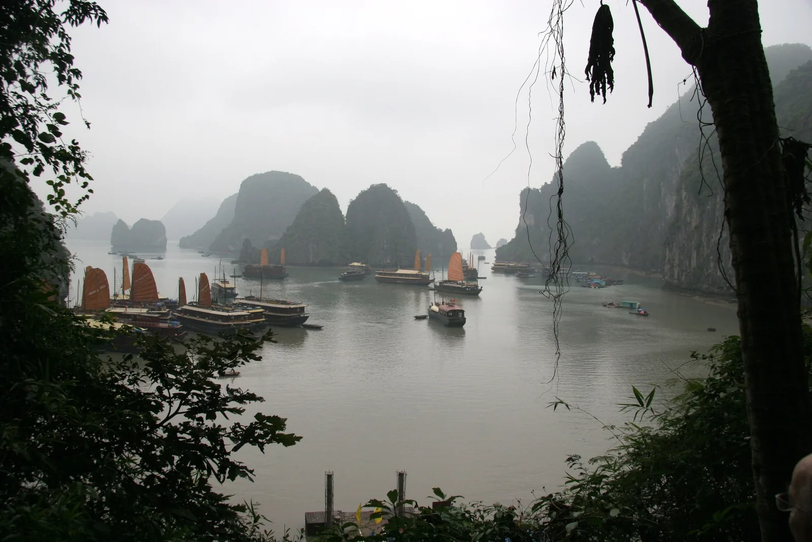 Traditional junk boats with orange sails dot the misty limestone karst waters of Ha Long Bay.