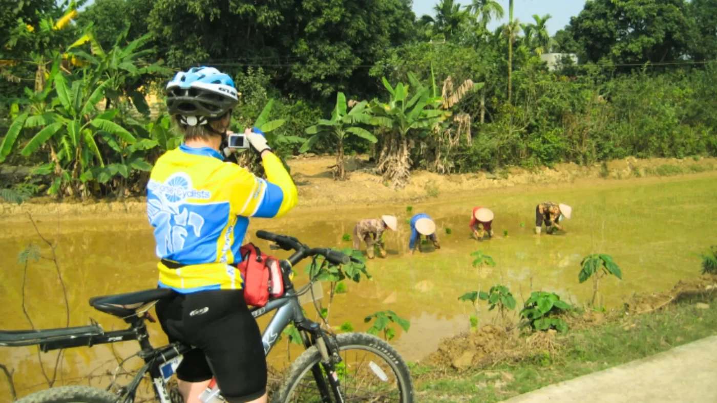 Farmer cycling along a track beside green fields in northern Vietnam