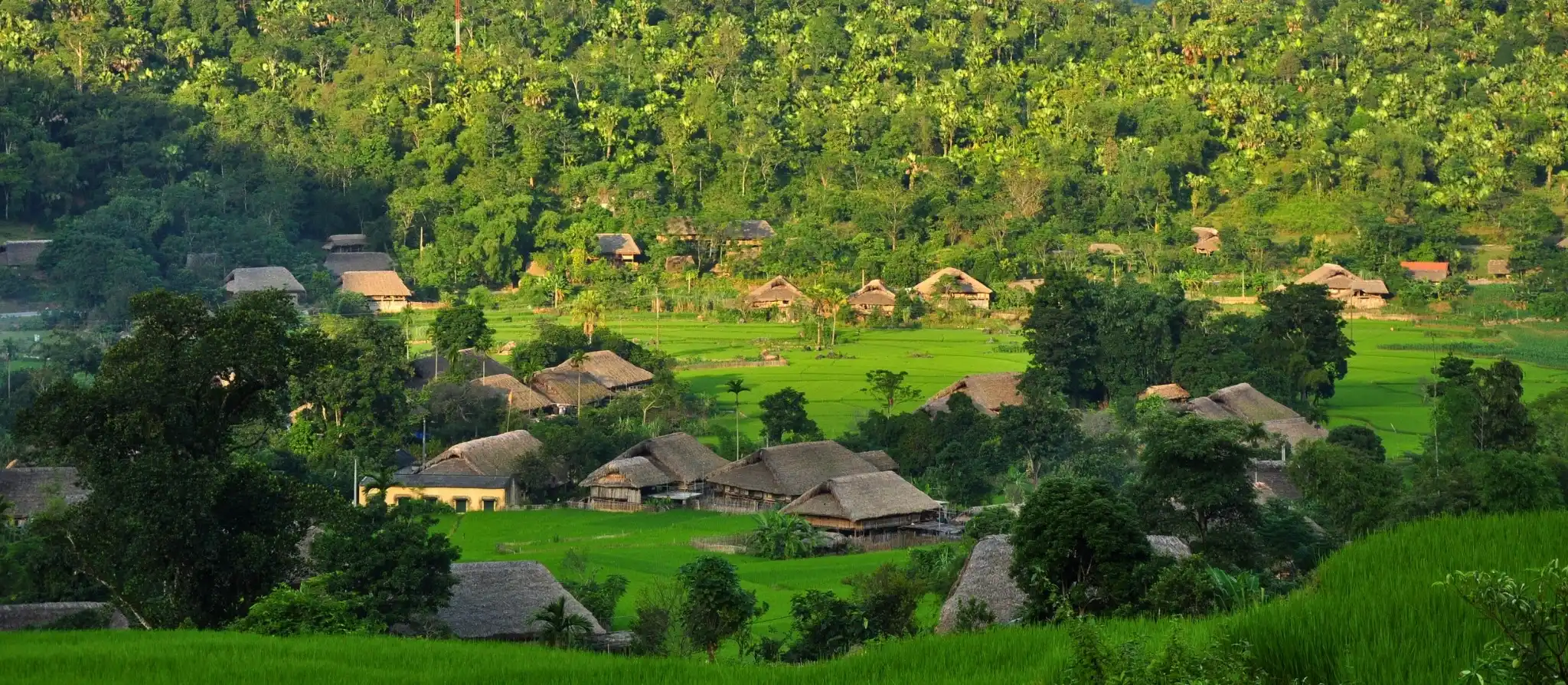Village among steep terraced hillsides in Mu Cang Chai