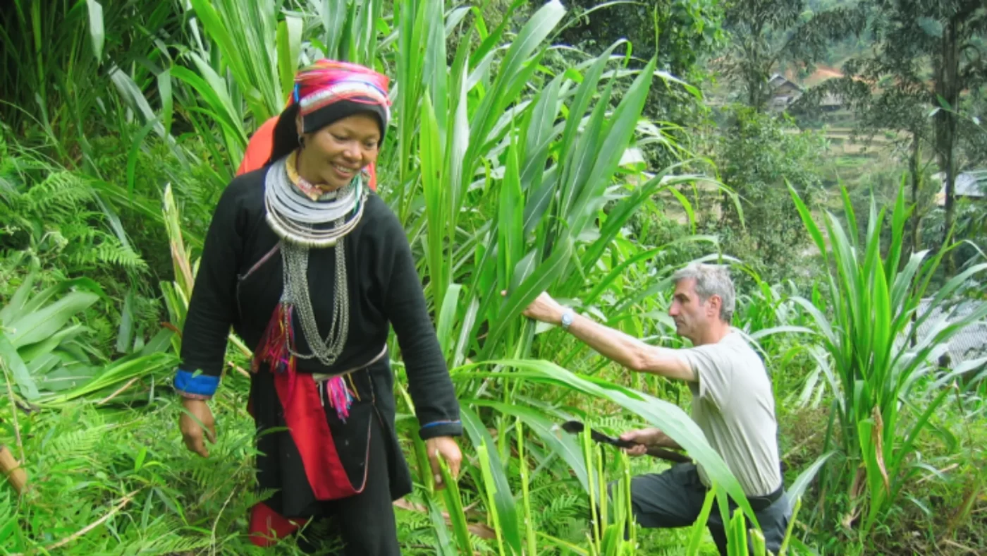 Local guide and travellers on a rural path in northern Vietnam