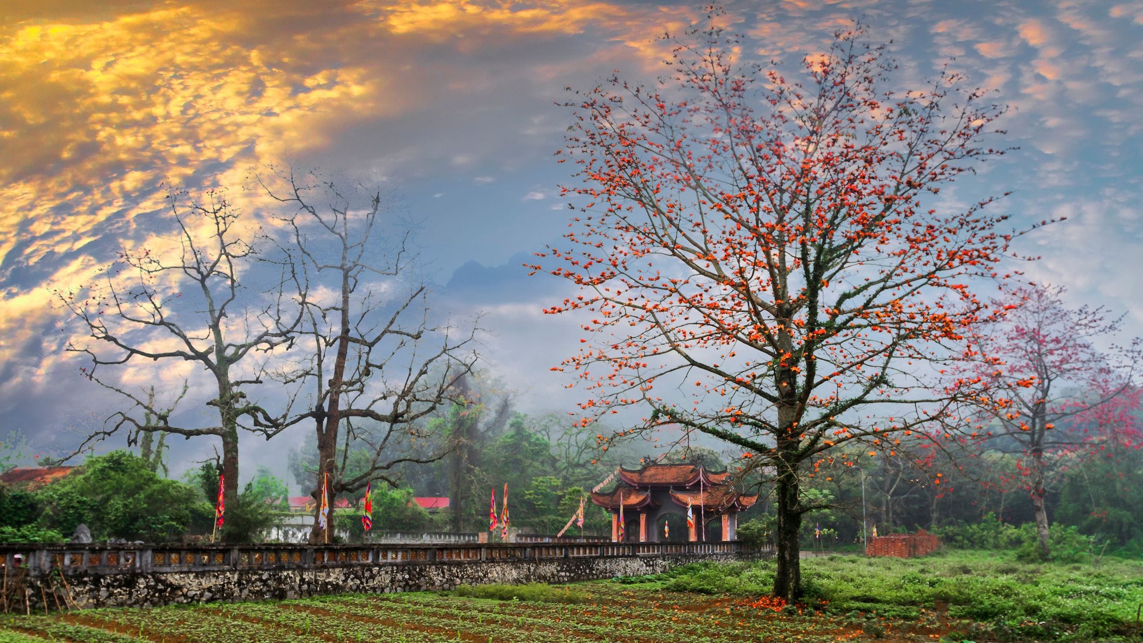 Village houses and palm trees beside a river in rural Vietnam
