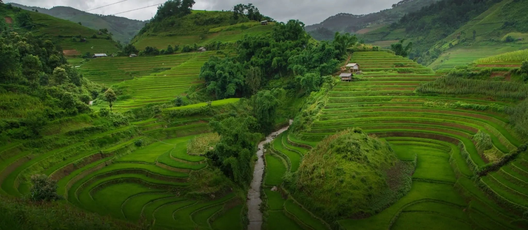Terraced rice fields in the mountains near Sapa