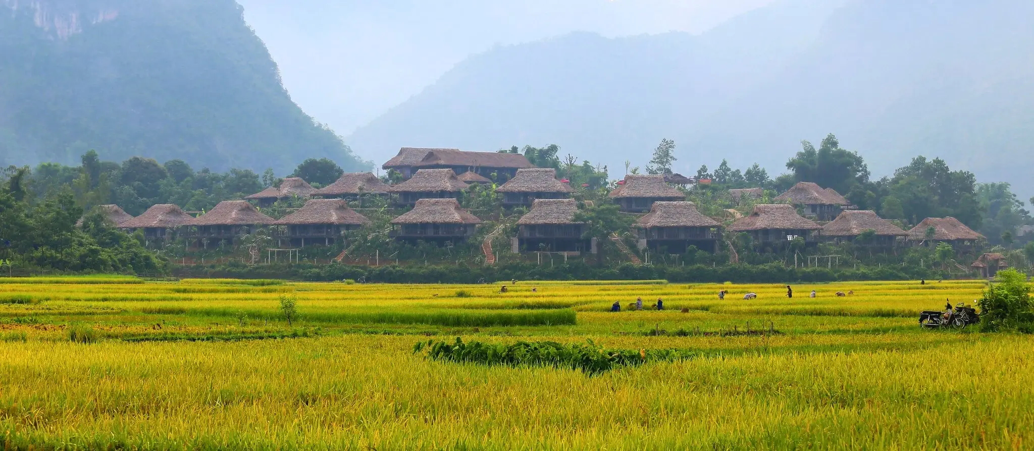 Rice fields and stilt-house lodge in the Mai Chau valley