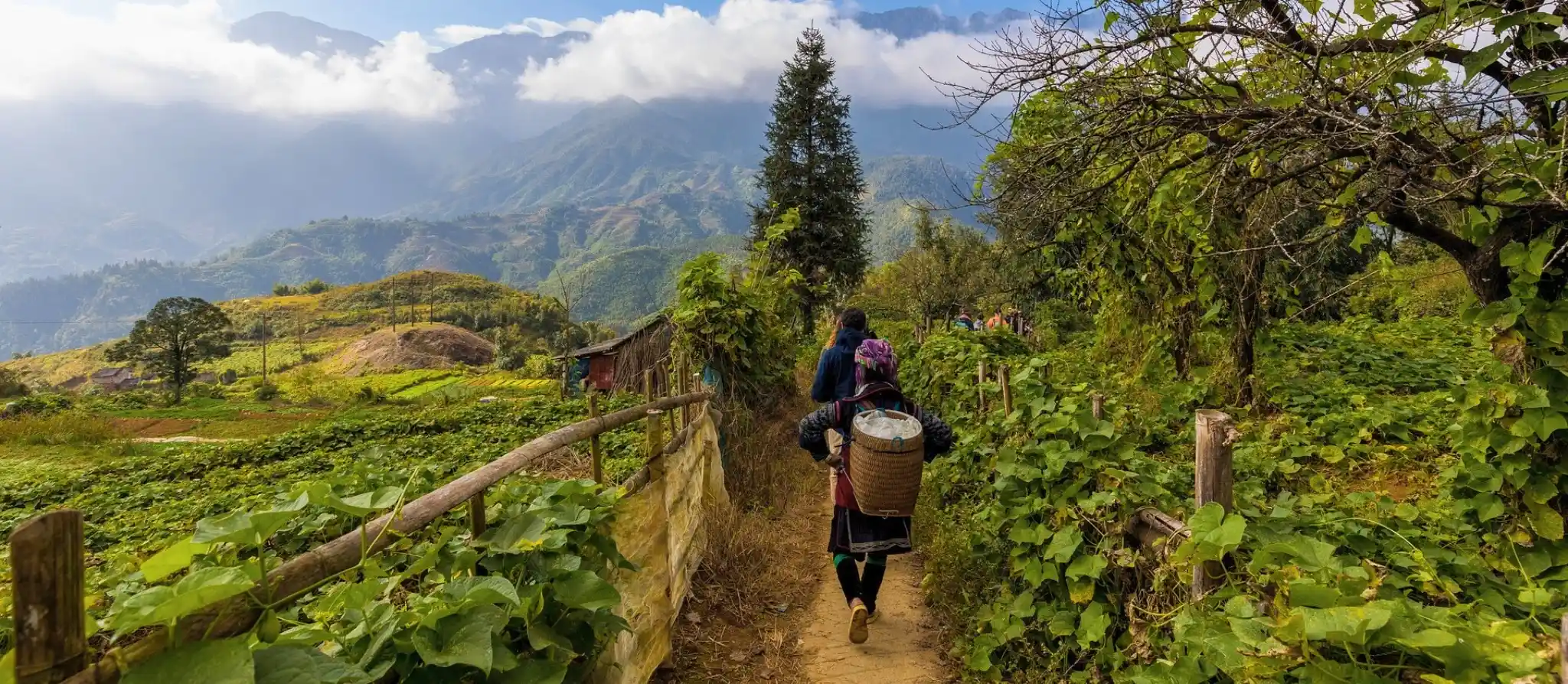 Hmong woman in indigo dress on a path in the Muong Hoa valley