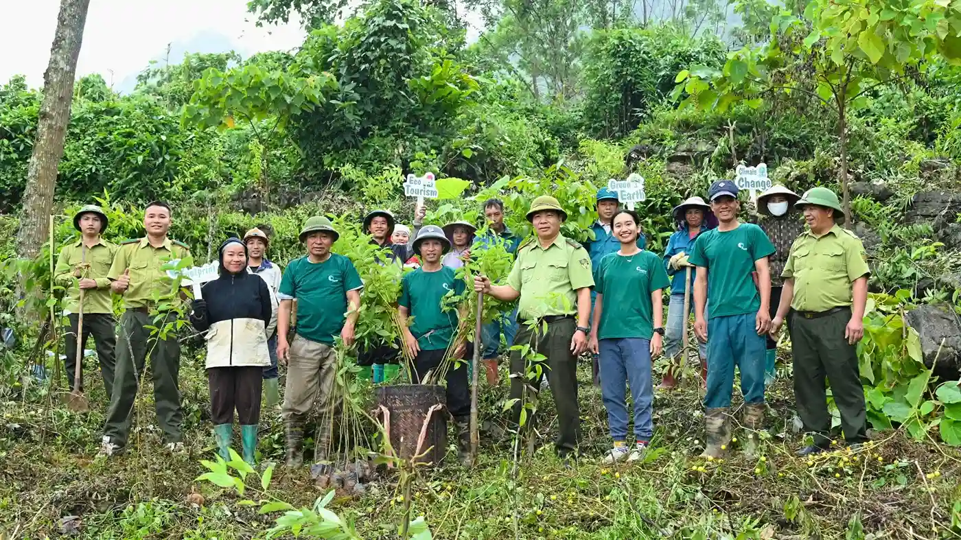 Team members planting young trees during a community project day