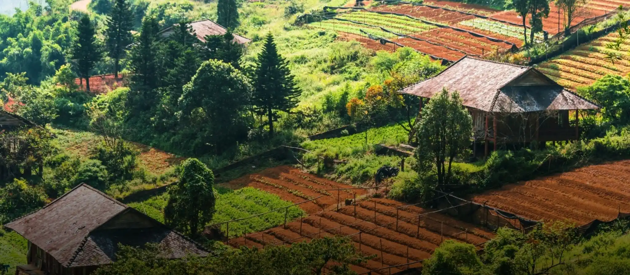 Hmong village among terraced fields below Sapa