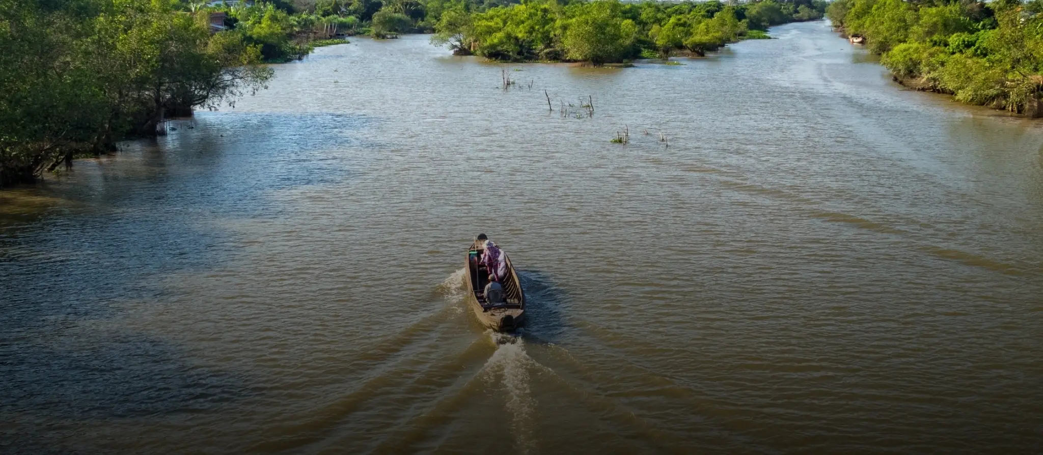 Narrow canal lined with water palms in the Mekong Delta