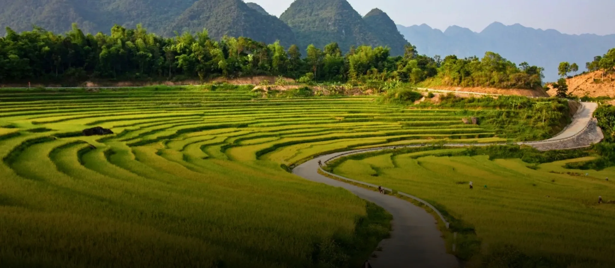 Green rice terraces and a stilt-house hamlet in Pu Luong