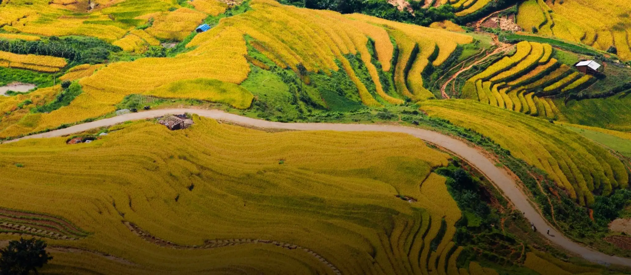 Terraced hillsides below the village of Y Ty in the clouds